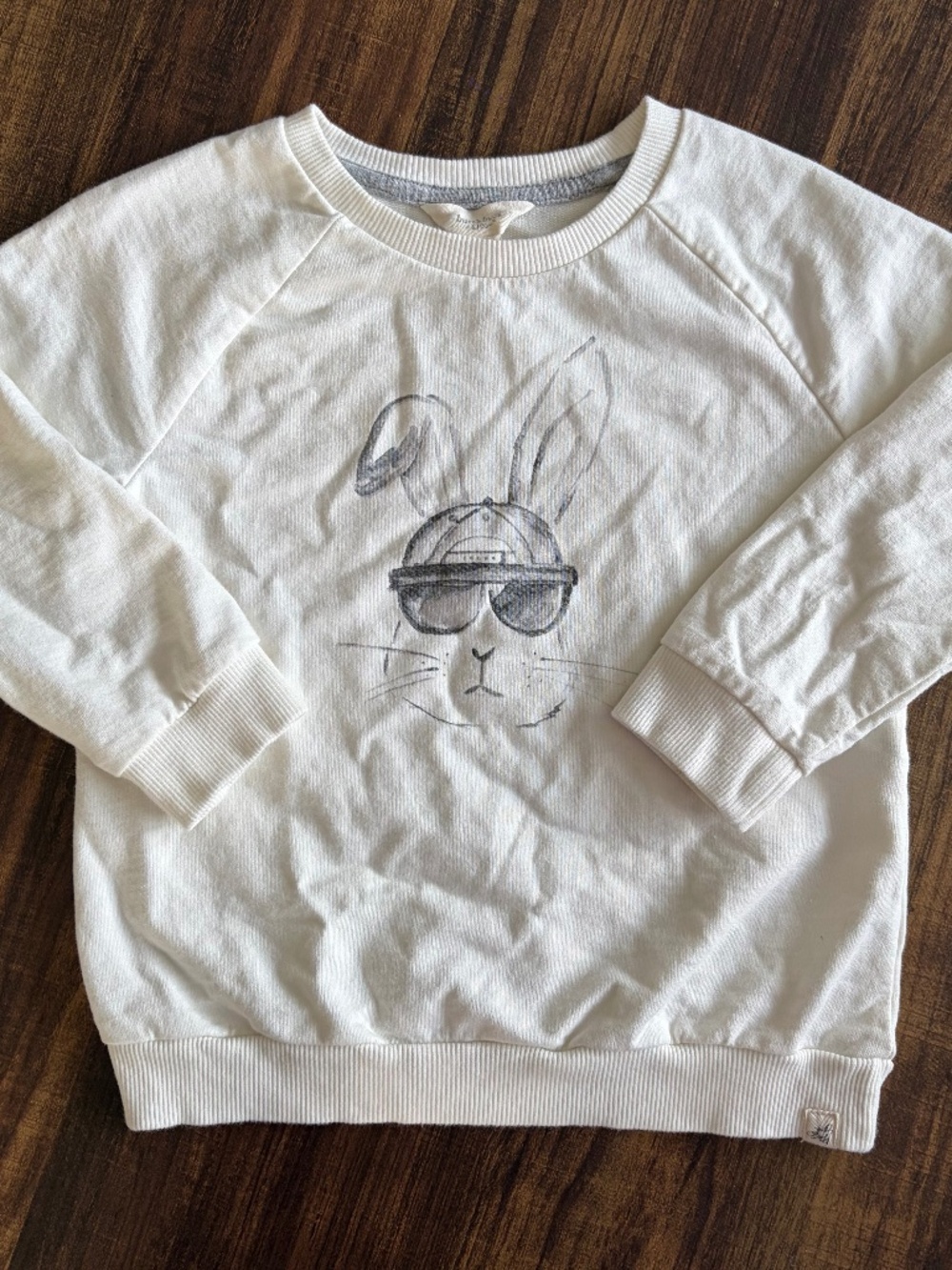 Burt's Bees Cool Bunny Crewneck size 4T